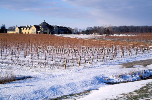 canada ontario  31.JPG - Domaine vinicoleNiagara on the LakeOntarioCanada